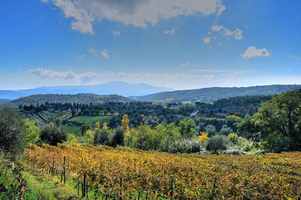 Agriturismo Fraschetta 蒙塔尔奇诺 外观 照片